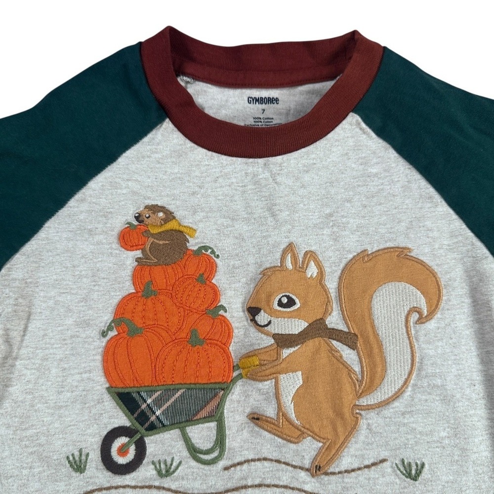 Gymboree Kids Boys Size 7 Fall Pumpkin Squirrel Raglan‎ Long Sleeve Shirt Grey